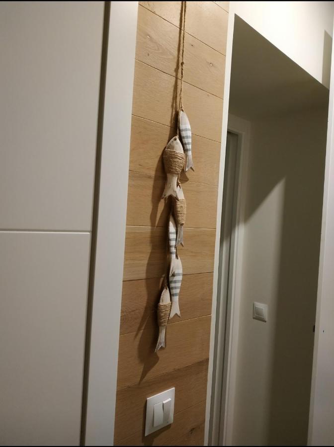 Apartamento - Patio 1812 Καντίζ Εξωτερικό φωτογραφία